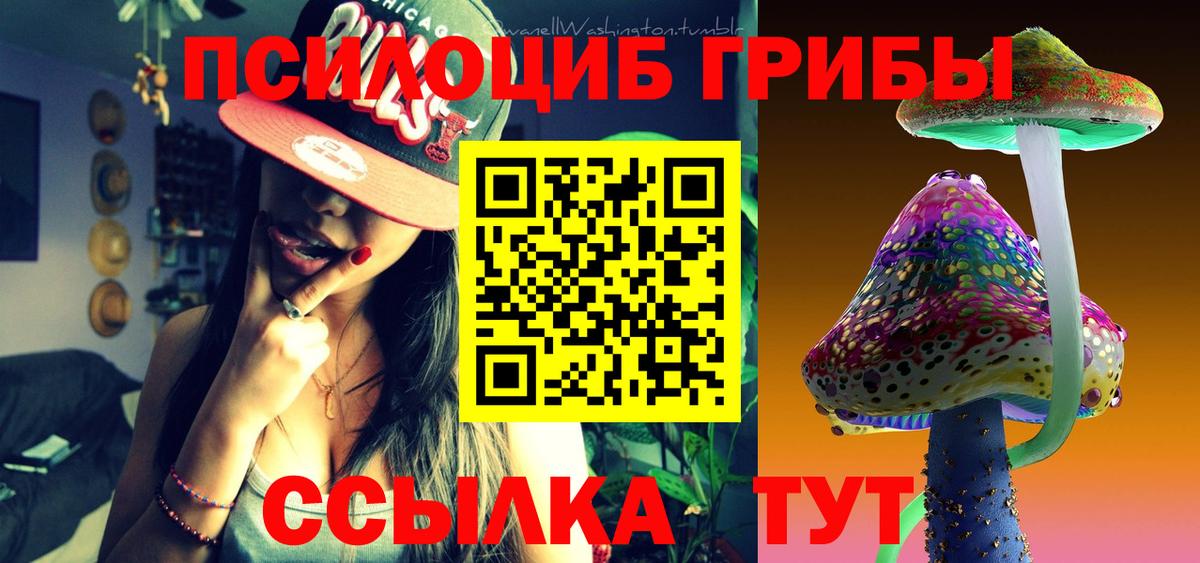 Псилоцибиновые грибы MAGIC MUSHROOMS  Псилоцибиновые грибы Magic Shrooms  Вход с VPN  Кирово-Чепецк 