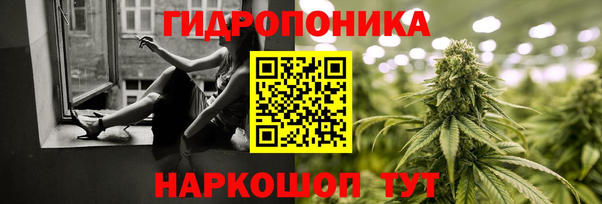 Каннабис ГИДРОПОН  Бошки Шишки конопля  Вход с VPN  Кирово-Чепецк  Марихуана конопля  МАРИХУАНА LSD WEED 